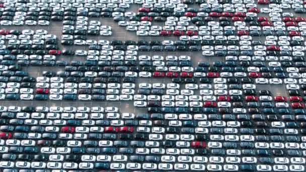 Fantasztikus repülés egy hatalmas parkoló felett, ahol új autók állnak egyenes sorokban egy autógyárban. — Stock videók