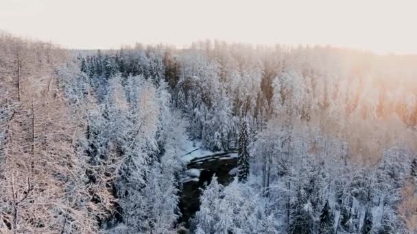 Sakin karlı kış ormanı ve gün batımında karanlık nehir. — Stok video