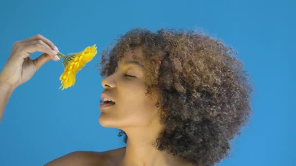 Zkušený model s krátkými kudrnatými vlasy představuje držení květiny — Stock video