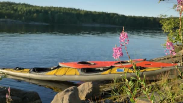 Deportes kayaks y flores de color rosa con abeja por la orilla del lago rocoso — Vídeos de Stock