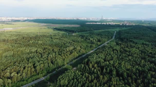 Road stretching among green forests against city on horizon — Stock Video