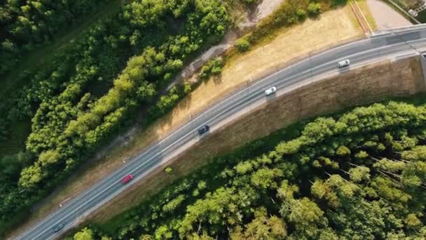 Autopista cerca de la gran ciudad entre el bosque con coches de conducción — Vídeos de Stock