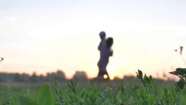 Sylwetki dzieci tańczą na zielonym polu o zachodzie słońca — Wideo stockowe