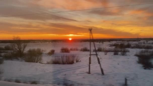 Sole lampeggia dietro gli alberi in inverno visto fuori dalla finestra del treno — Video Stock