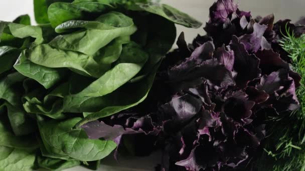 Motion past fresh greenery and raw broccoli lying on white — Stock Video