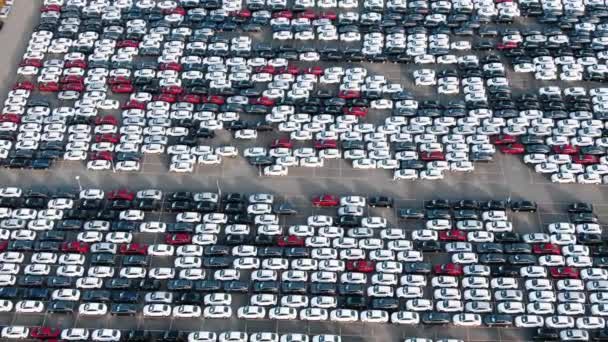 Filas de coches terminados en vista aérea de almacén abierto — Vídeos de Stock