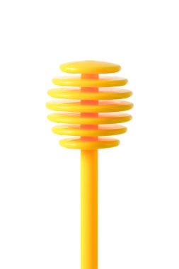 Bal ayı beyaz üzerinde 