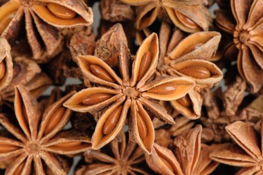 Anasonu'nın ayrıntıları