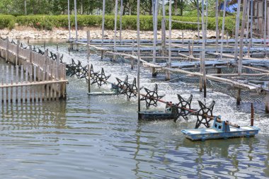 kürek tekerlek aerator