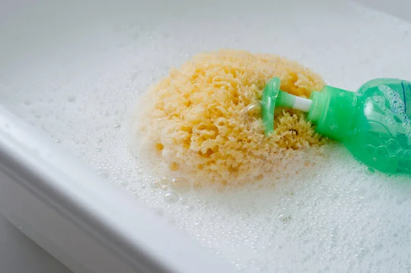 婴儿洗浴概念 在天然海绵体处特写 沐浴海绵 — 图库照片