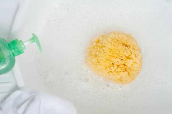 Baby Bathing Concept Closeup Natural Sea Sponge Bath Sponge — Stock Photo, Image