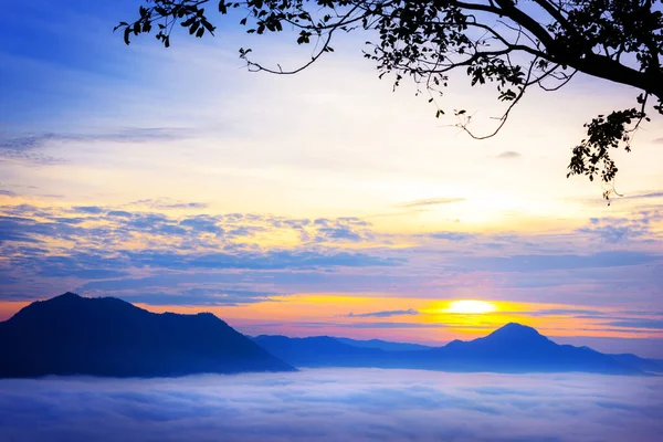 Schöne Nebelmeer Und Sonnenaufgang Blick Auf Phu Thok Chiang Khan — Stockfoto