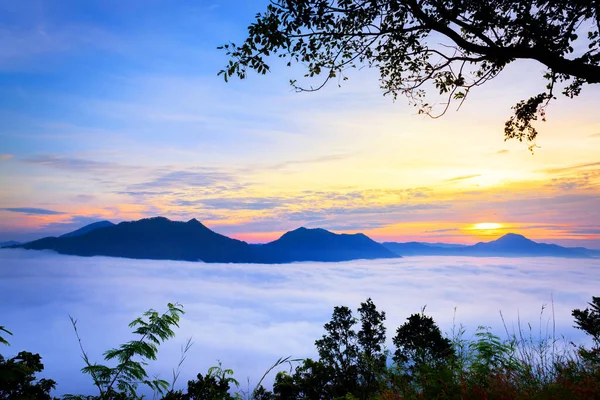 Schöne Nebelmeer Und Sonnenaufgang Blick Auf Phu Thok Chiang Khan — Stockfoto