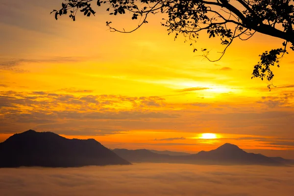 Schöne Nebelmeer Und Sonnenaufgang Blick Auf Phu Thok Chiang Khan — Stockfoto