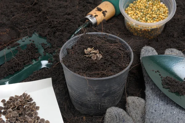 Strumento di giardinaggio — Foto Stock