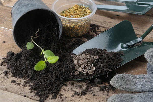 Strumento di giardinaggio — Foto Stock