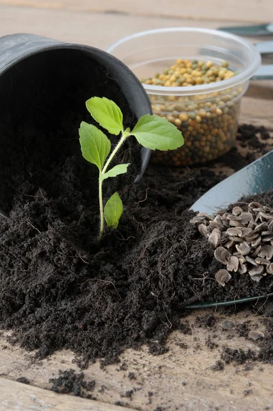 Strumento di giardinaggio — Foto Stock