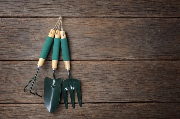 Gardening background — Stock Photo, Image