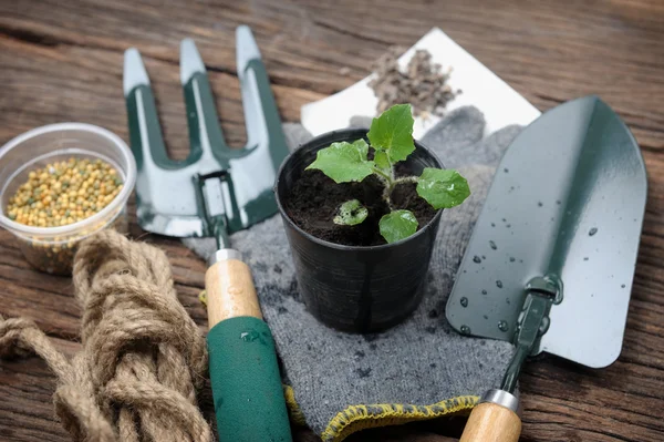 Strumento di giardinaggio — Foto Stock