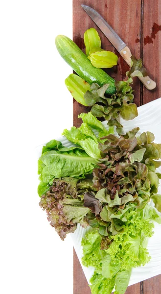 Lettuces — Stock Photo, Image