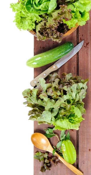 Lettuces — Stock Photo, Image