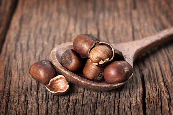 Chestnut — Stock Photo, Image