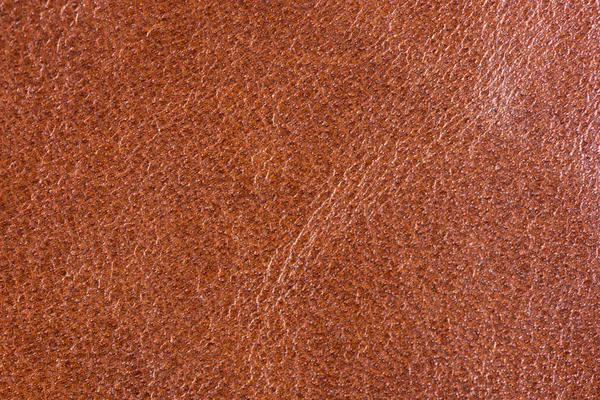Textura de couro marrom natural — Fotografia de Stock