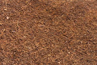 Bahçe işleri için kakao turbası. Hindistan cevizi kabuğundan yapılmış hindistan cevizi turbası..