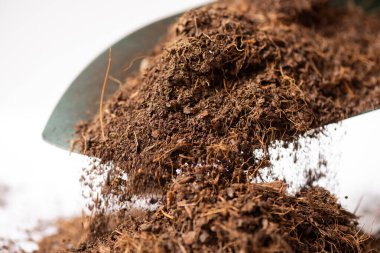 Bahçe işleri için kakao turbası. Hindistan cevizi kabuğundan yapılmış hindistan cevizi turbası..