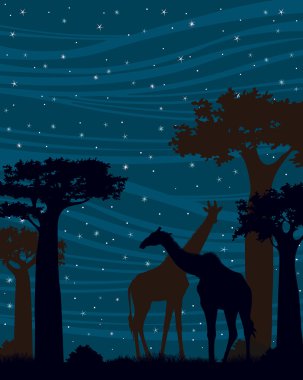 Zürafa gece silüeti. Afrika manzara.