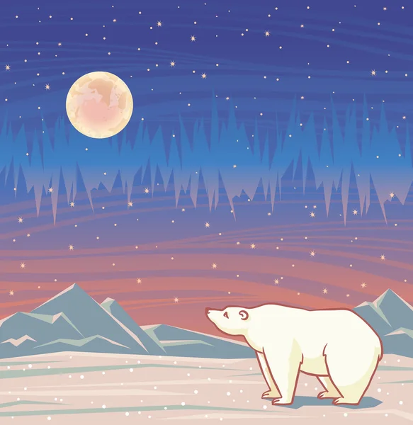 Oso polar y auroras boreales . — Archivo Imágenes Vectoriales