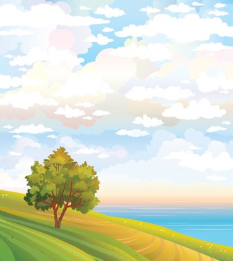 doğal peyzaj - ağaç, çayır ve deniz.