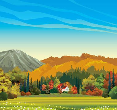 doğa sonbahar manzarası.