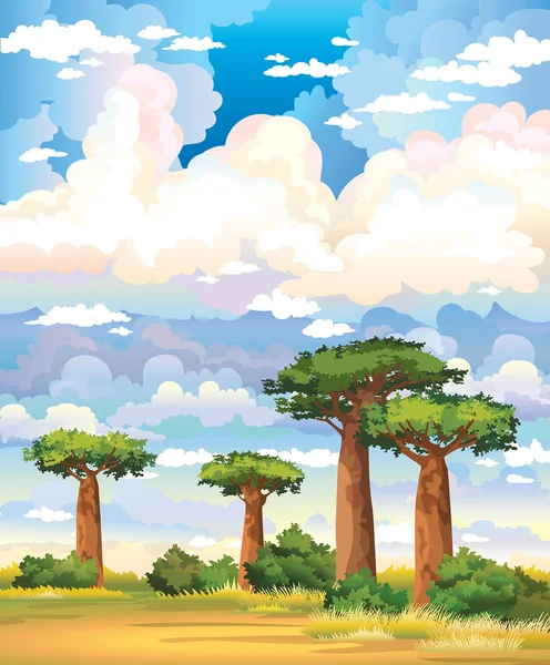 Baobabs and cloudy sky. — Stock Vector