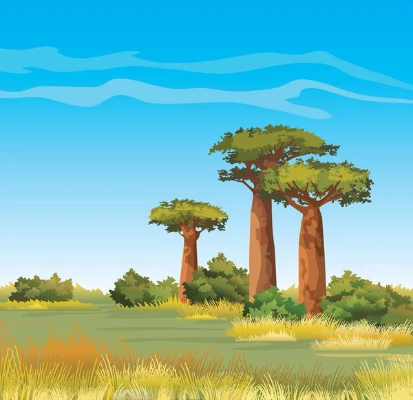 Baobabs y cielo. Paisaje africano . — Vector de stock