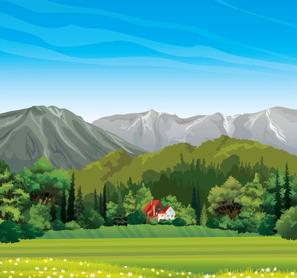 Nature landscape with forest and house. — Stock Vector