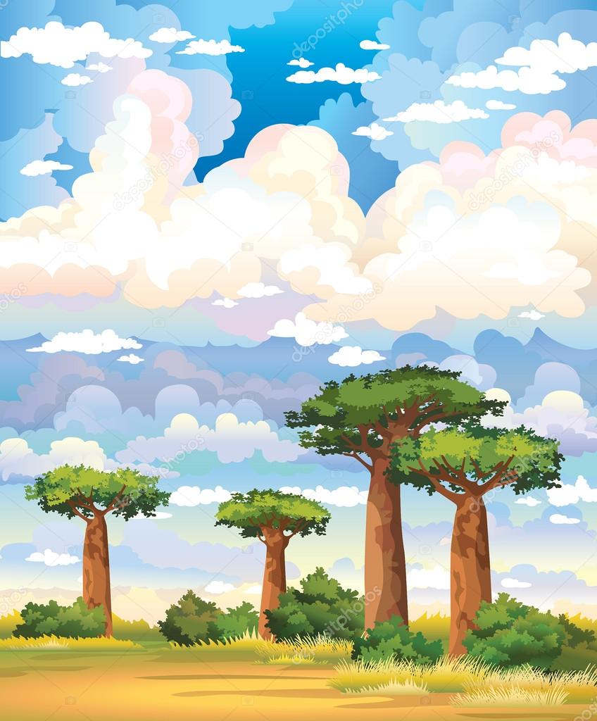 Baobabs and cloudy sky.