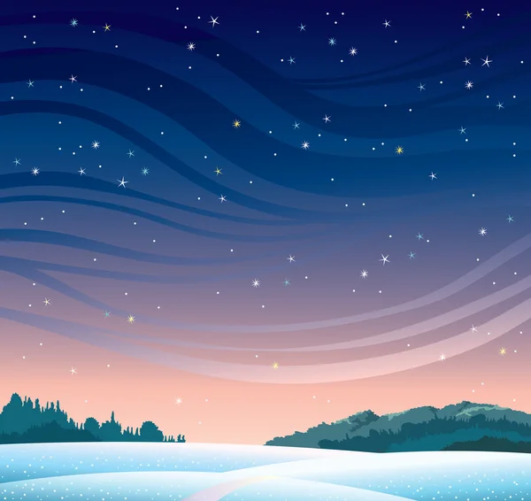 Winter night landscape. — Stock Vector