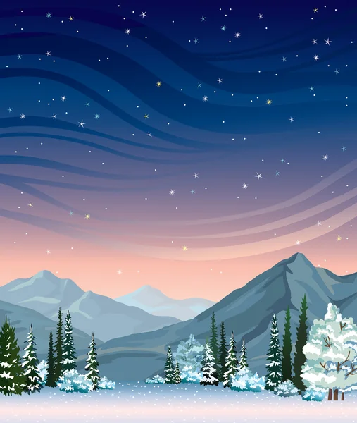 Paisaje nocturno de invierno con bosque . — Vector de stock