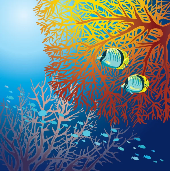 Vida subaquática - peixes e corais . — Vetor de Stock