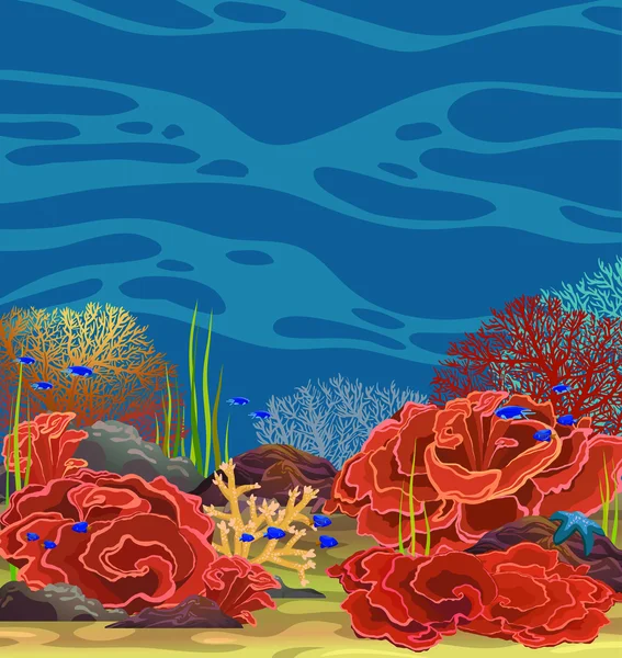 Onderwater koraal rif. — Stockvector