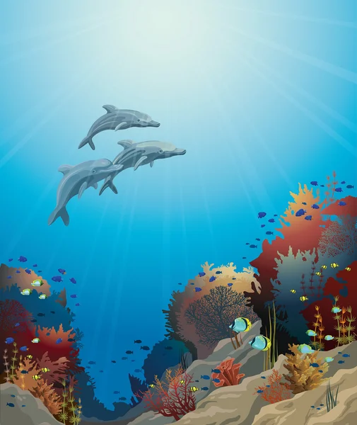 Дельфіни та кораловий риф, підводний вектор . — стоковий вектор