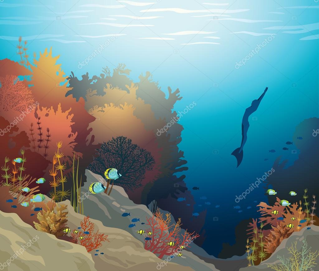 Coral Reef Vector