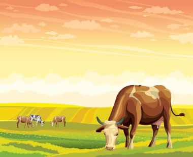 Cow and green meadow. Rural landscape.