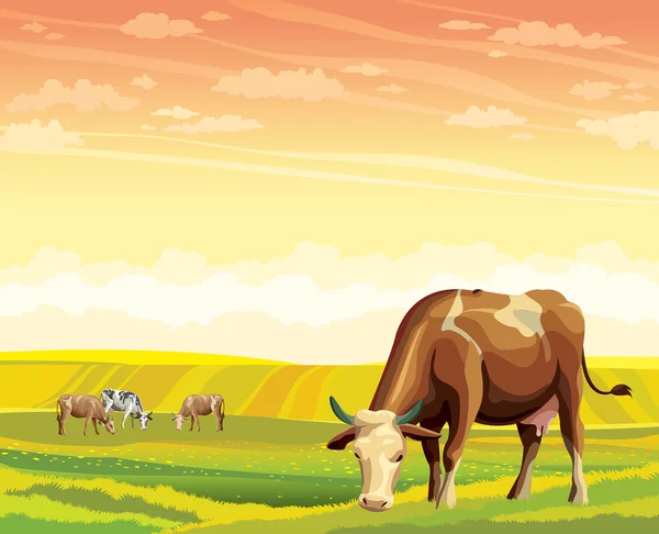 Cow and green meadow. Rural landscape. — 스톡 벡터