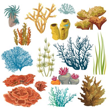 Set of corals and algaes. clipart