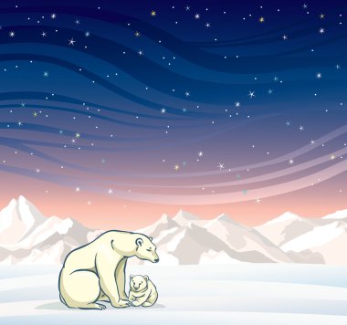Polar bear with baby and winter landscape at night.