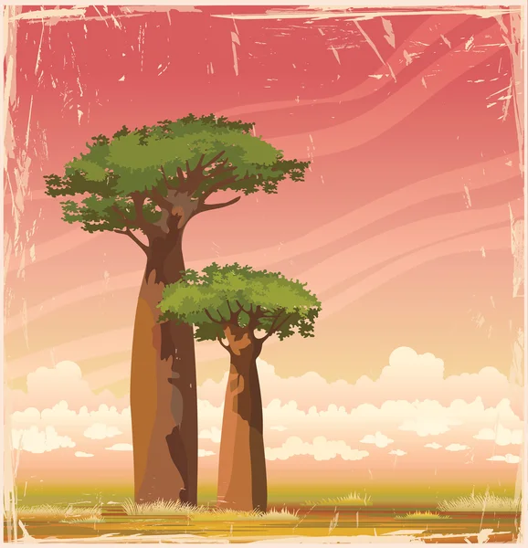 Madagascar baobabs and sunset sky. — Stock Vector