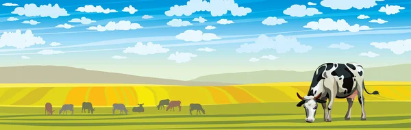 Cow and green meadow. Rural landscape. — 스톡 벡터