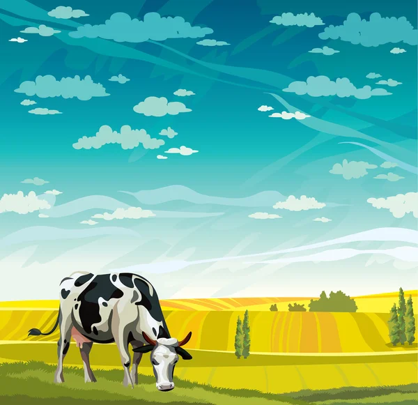 Cow, herd and field — Stockvector